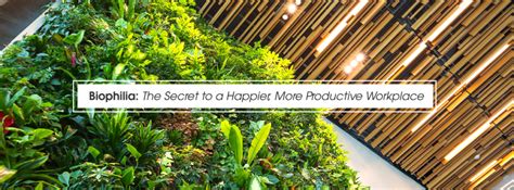 Biophilia The Secret To A Happier More Productive Workplace