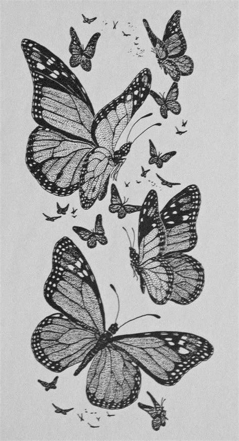Sketsa kupu kupu adalah salah satu gambar dasar dini yang belum jadi, umumnya ia digoreskan dengan menggunakan media pensil dan sejenisnya. Gambar Kupu Kupu dan Sketsa Kupu Kupu Lengkap - Iseng Nulis