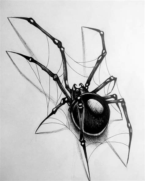 Pin By Tomasz S On Drawing Web Tattoo Dark Art Tattoo Spider Drawing