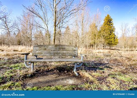Park Bench In Winter Stock Image Image Of Outdoors Bench 67056481