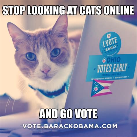 Stopping Looking At Cats And Go Vote James Mcgrath