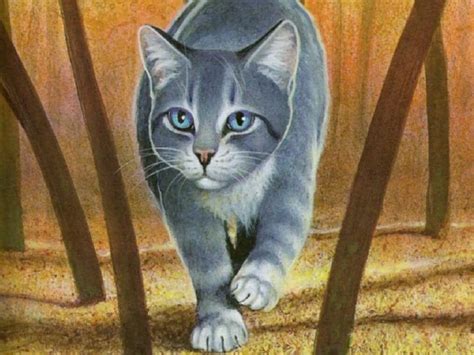 Graystripe Warrior Cats Wallpapers Wallpaper Cave