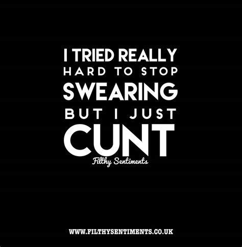 i tried to stop swearing all things profanity cheeky and funny