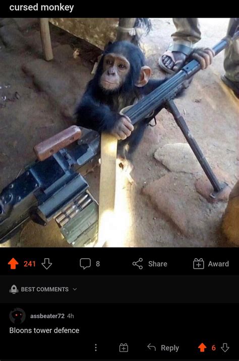 Sniper Monkey Irl Rbtd6