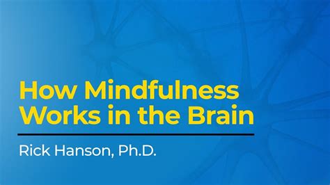 How Mindfulness Works In The Brain Youtube