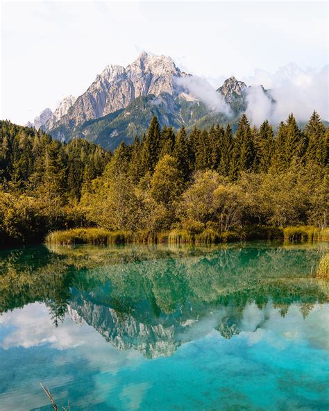 zelenci nature reserve slovenia this country has so many magical treasures oc 3371x4214 ig