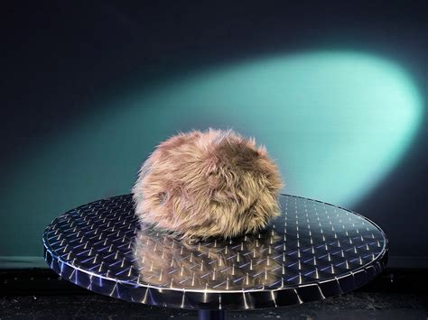 Science Divisions Interactive Star Trek Tribbles The Pop Insider