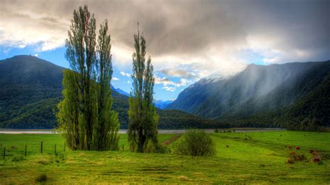 New Zealand Spring Wallpapers Top Free New Zealand