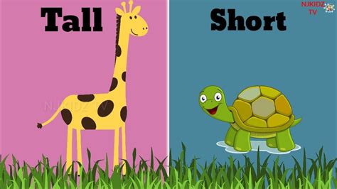 Tall And Short Tall And Short For Kids Comparison For Kids Learn
