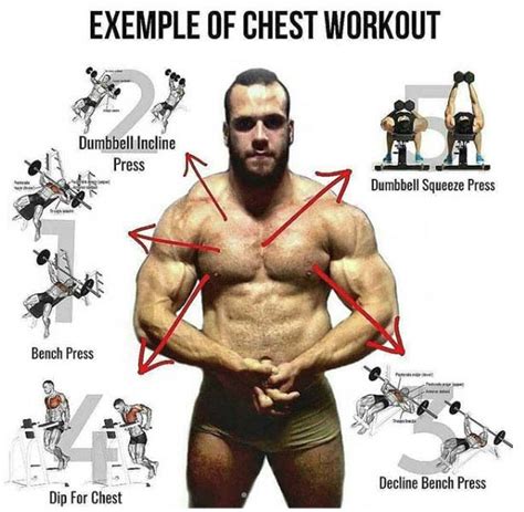 Exercises For Every Part Of The Chest Videos And Guides Weighteasyloss
