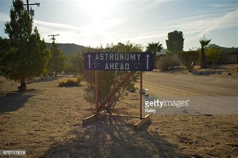 Joshua Tree Sign Photos And Premium High Res Pictures Getty Images