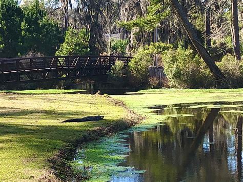 Magnolia Springs State Park in Millen, GA - Southeast To Start