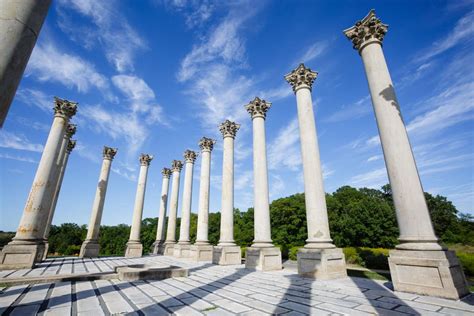 Explore Dc The National Capitol Columns Community
