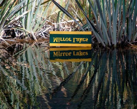 Mirror Lakes Walk Fiordland Aa New Zealand