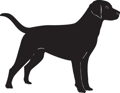 Free Dog Vector Cliparts, Download Free Dog Vector Cliparts png images