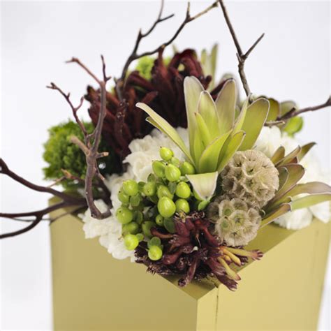 Explore tweets of olive & cocoa @oliveandcocoa on twitter. Olive, Floral: Olive & Cocoa