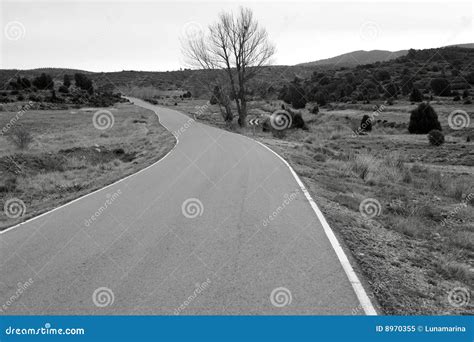 Lonely Black And White Landscape Royalty Free Stock Photo Image 8970355