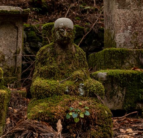 Moss Overgrown Buddha Stone Buddha Statue Buddha Statue Buddha
