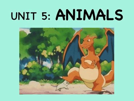 ANIMALS - Game 1 | Online English Games for desktop and mobile phones