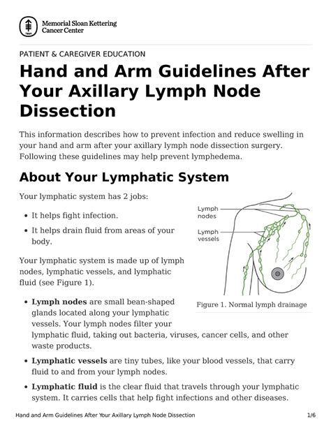 Hand And Arm Care After Removal Axillary Lymph Nodes Figure 1 Normal