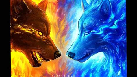 Fire And Ice Wolf Wallpaper Wolf Fire And Ice 1252x704 Download