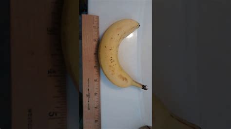 World Record Smallest Banana Youtube
