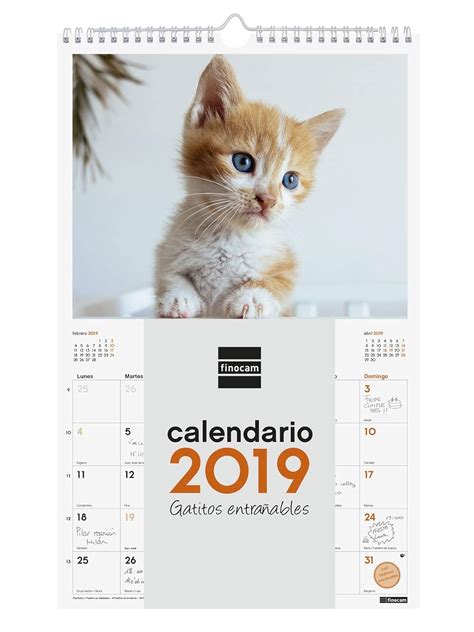 Calendario De Pared 2019 Finocam 780552919 Oficina Y Papelería
