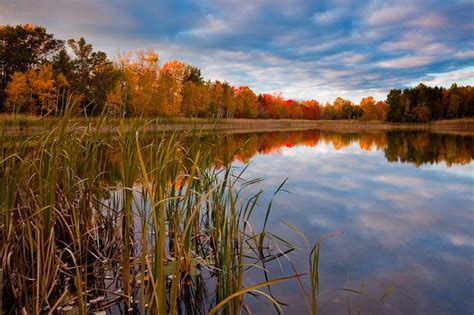 Michigan Fall Colors Peak In October With Gorgeous Autumn Foliage
