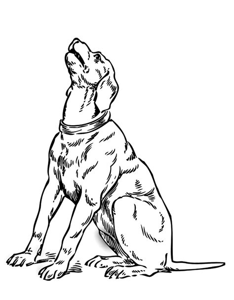 Dog To Print For Free Dogs Kids Coloring Pages