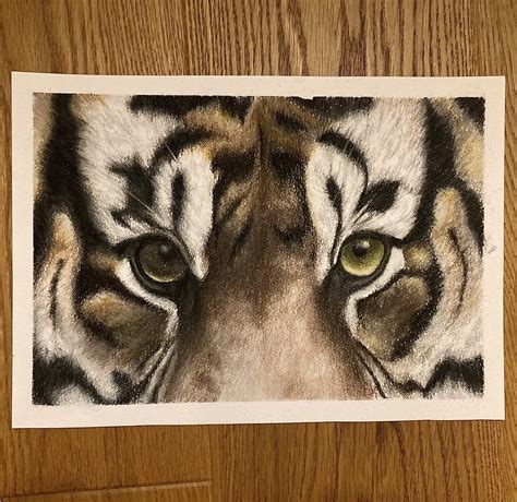 Finished Tiger Eye Drawing Zoochat