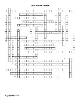 Internal female anatomy labelled diagram. 17 Best images about Anatomy Crosswords for Anatomy ...