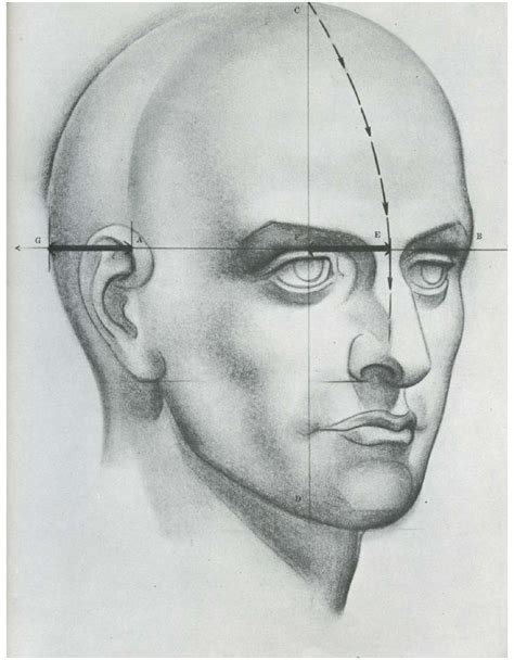 Burne Hogarth Drawingthehumanhead Drawings Anatomy For Artists