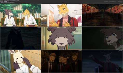 Beastars S02 E08 Laughing At The Shadows We Cast Mkv — Postimages