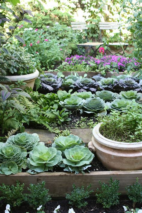 Ewa In The Garden 24 Beautiful Photos Of Edible Landscape Ideas Hand