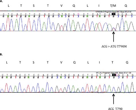 Sanger Sequencing Sanger Sequencing Of The Egfr Point Mutation In A Download Scientific