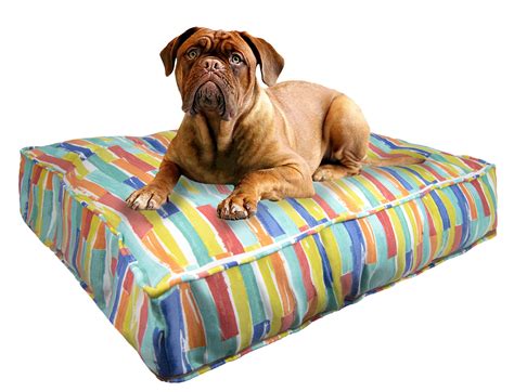 Cozy Up Your Pooch Top 10 Dog Beds With Covers You Need To Know About