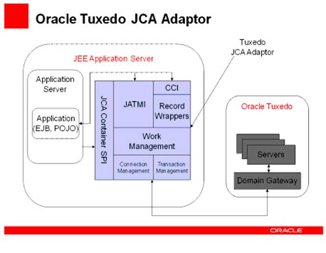 Oracle 11g is an object relational database based management system which s considered as the most robust database software in the market. DOWNLOAD ORACLE TUXEDO 11G