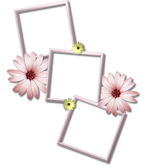 Photo Frame Collage Clipart - Jagodooowa