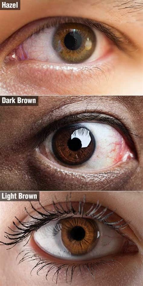 Dark Brown Eyes Almost Black