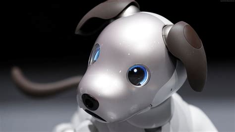 Download 87 robot wallpaper free vectors. Wallpaper Sony Aibo, robot, dog, 4k, Hi-Tech Wallpaper ...