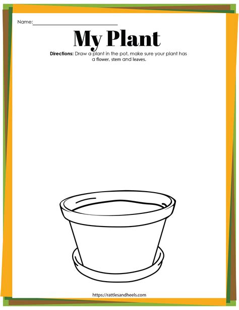 Life Cycle Of Plant Worksheets Kindergarten Printable Kindergarten