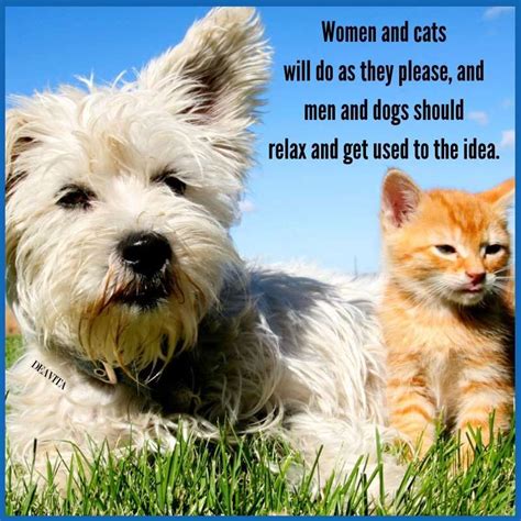 Funny Dog And Cat Quotes