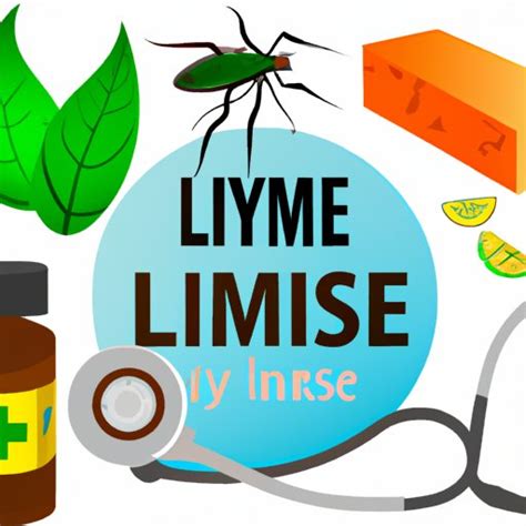 How To Treat Lyme Disease Understanding Personal Journeys