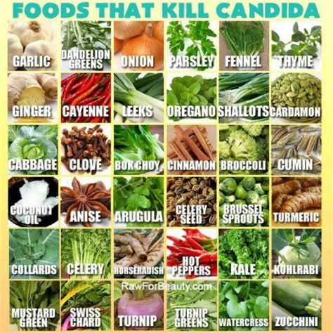 Candida Cleansing Candida Diet Candida Diet Recipes Candida Albicans