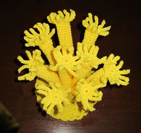 Sea Polyp The Maine Crochet Coral Reef Project