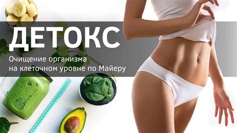 Детокс программы в Верба Майер. Здоровый кишечник - здоровый организм ...