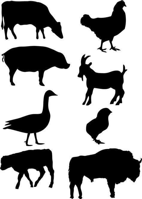 Farm Animals Vector Graphics Vector Download