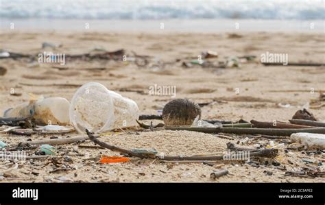 Contaminación Ambiental Problema Ecológico Garbages Plástico Y