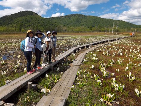 Ozegahara Marsh Nature Walk For Beginners National Parks Of Japan