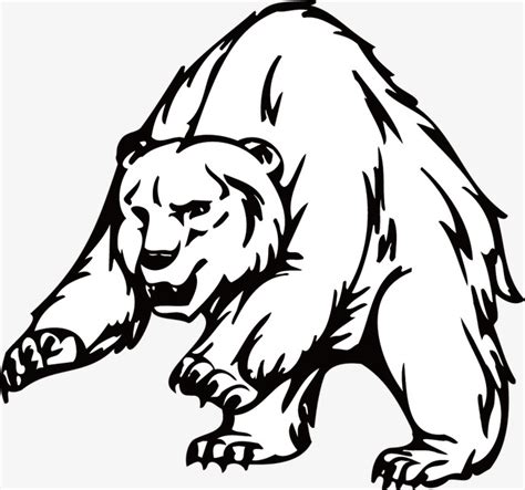 Grizzly Bear Line Drawing At Getdrawings Free Download